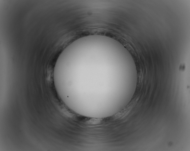 X0000101390138200807071014