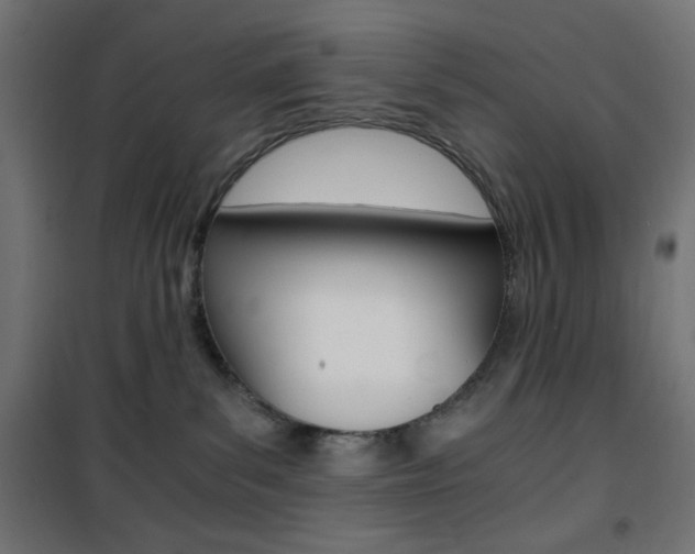X0000101390139200807071014