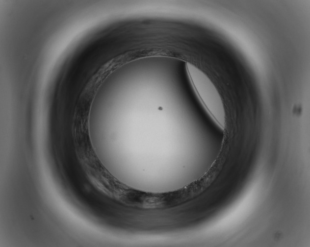 X0000101390143200807071014