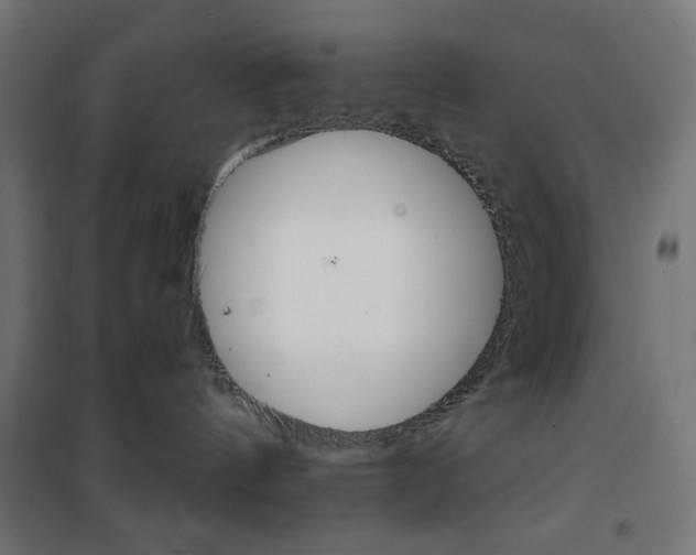 X0000101390144200807071014