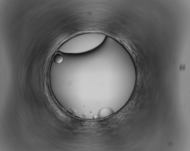 X0000101390145200807071013