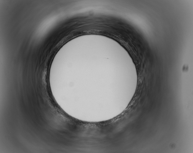 X0000101390146200807071013