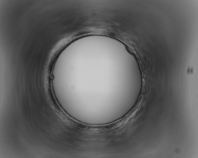 X0000101390149200807071013