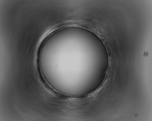 X0000101390150200807071013