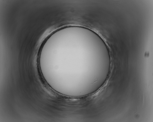X0000101390151200807071013