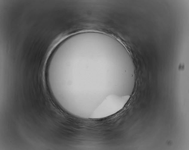 X0000101390152200807071013