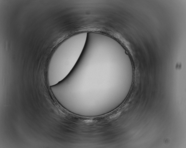 X0000101390153200807071013