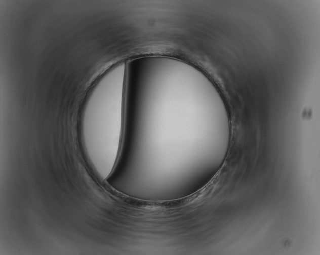 X0000101390154200807071013