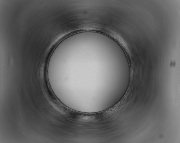 X0000101390155200807071013