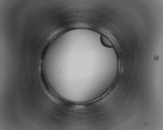 X0000101390157200807071013
