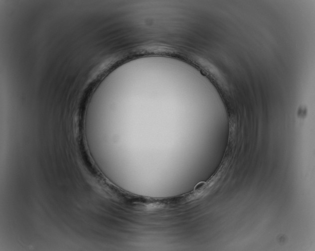 X0000101390158200807071013