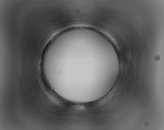 X0000101390159200807071013