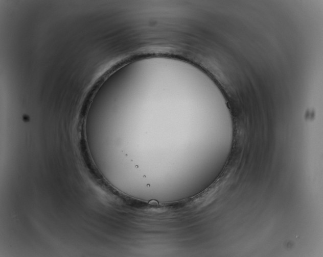 X0000101390160200807071013