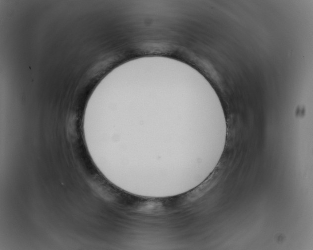 X0000101390162200807071013