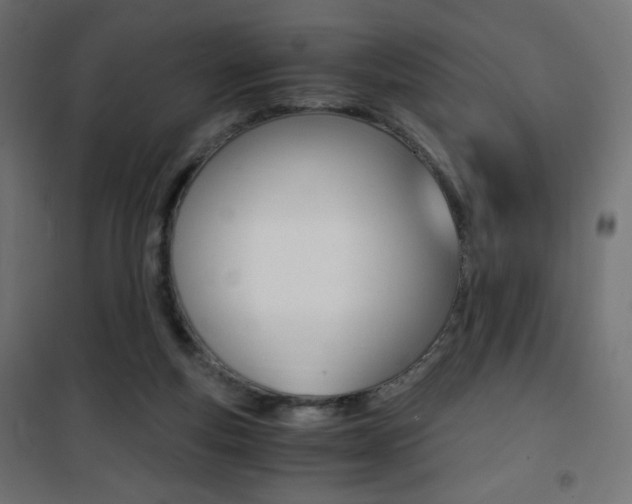 X0000101390163200807071013