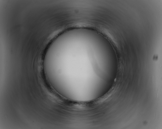 X0000101390164200807071013