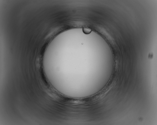 X0000101390165200807071013
