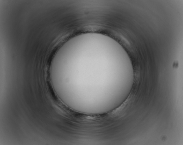 X0000101390166200807071013