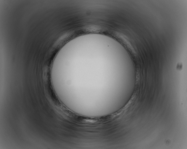 X0000101390167200807071013