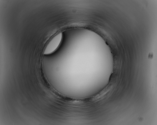 X0000101390168200807071013