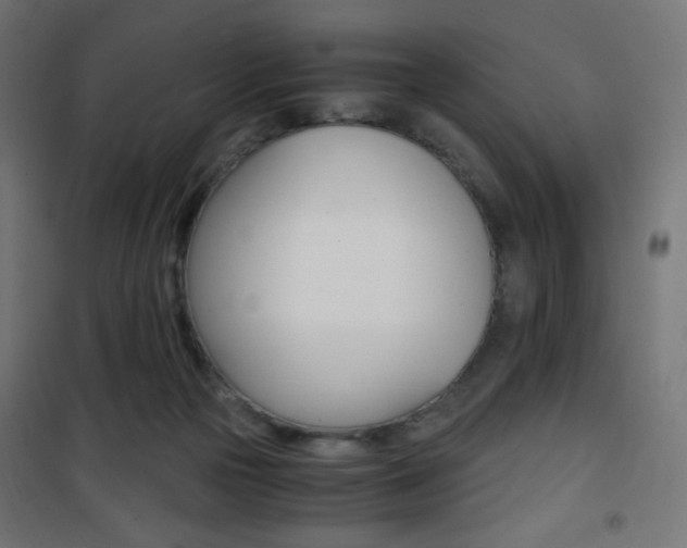X0000101390169200807071014