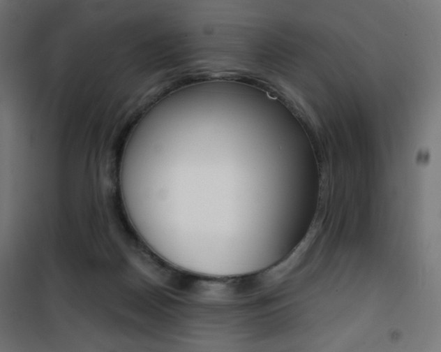 X0000101390170200807071014