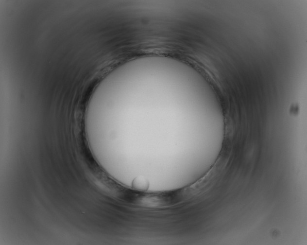 X0000101390171200807071014