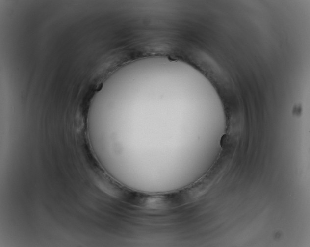 X0000101390173200807071014