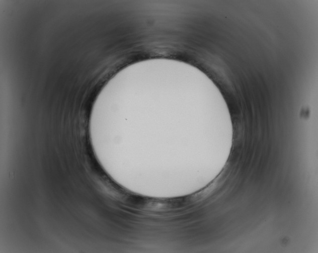 X0000101390174200807071014