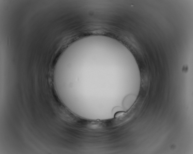 X0000101390175200807071014