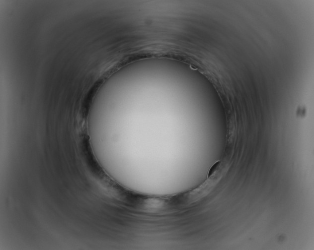 X0000101390176200807071014