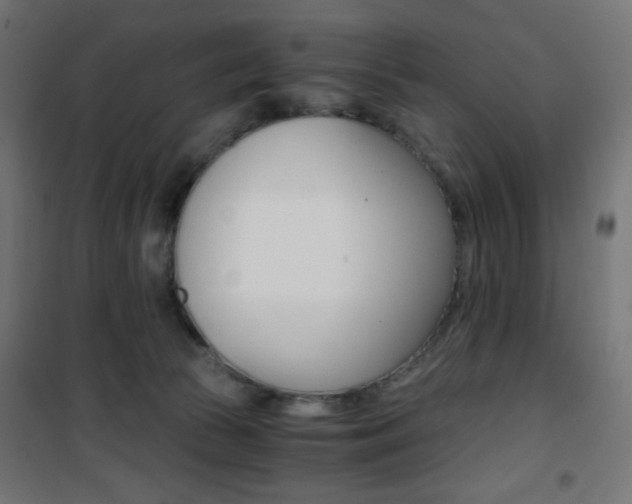 X0000101390177200807071014