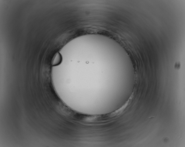 X0000101390178200807071014