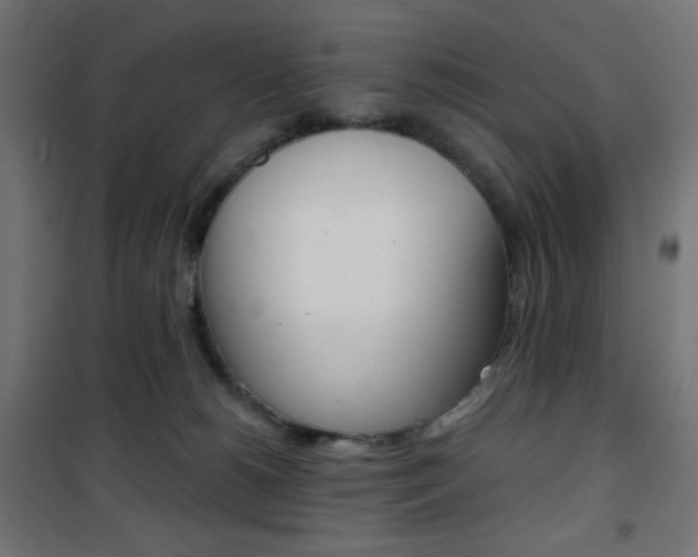 X0000101390180200807071014