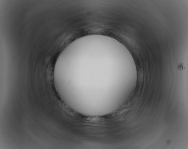 X0000101390181200807071014