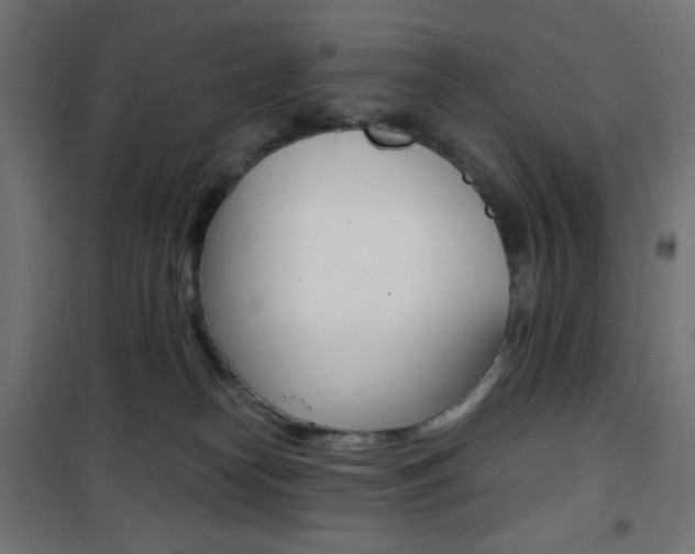 X0000101390182200807071014