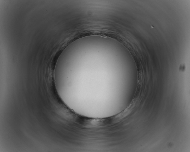 X0000101390184200807071014