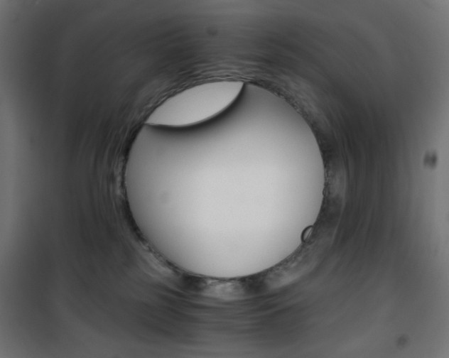 X0000101390185200807071014