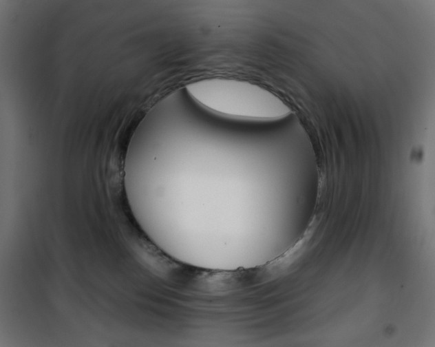X0000101390186200807071014