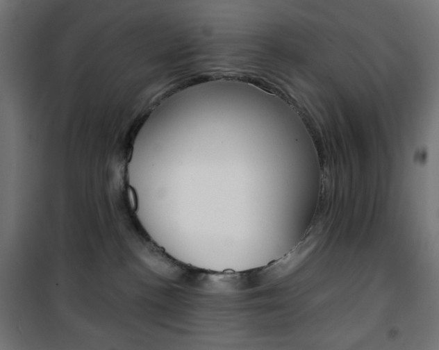 X0000101390188200807071014