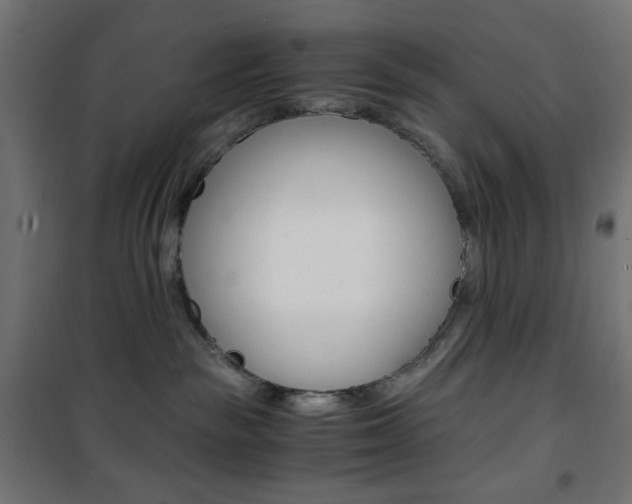X0000101390189200807071014