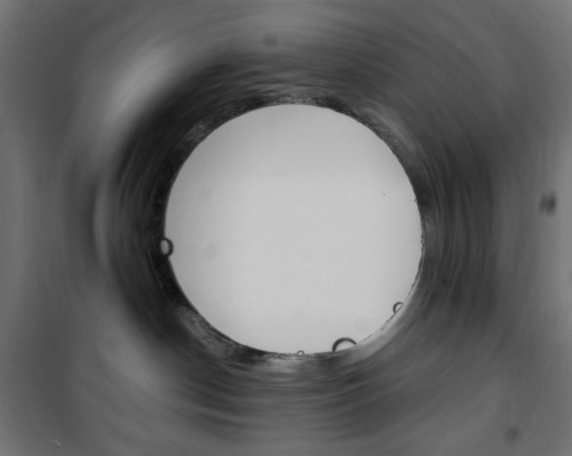 X0000101390190200807071014