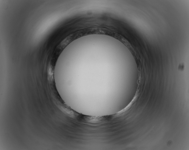 X0000101390191200807071014