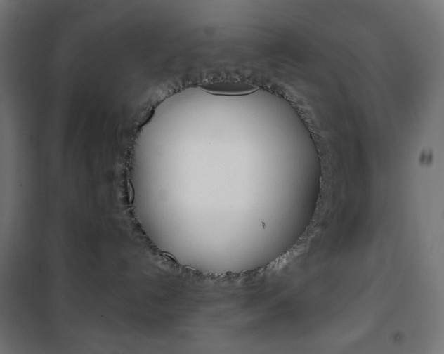 X0000101390192200807071014
