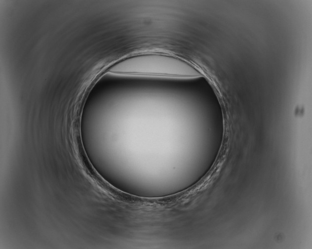 X0000101390193200807071013