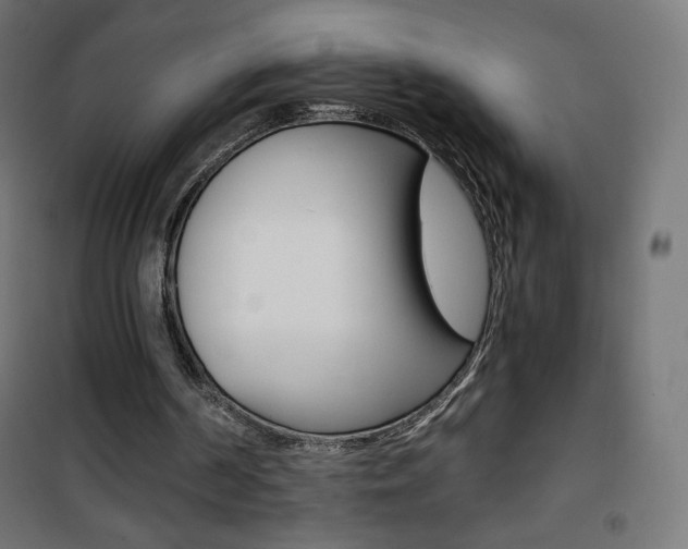 X0000101390194200807071013