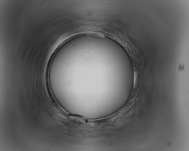 X0000101390195200807071013
