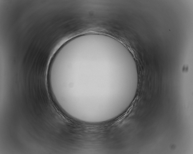 X0000101390196200807071013