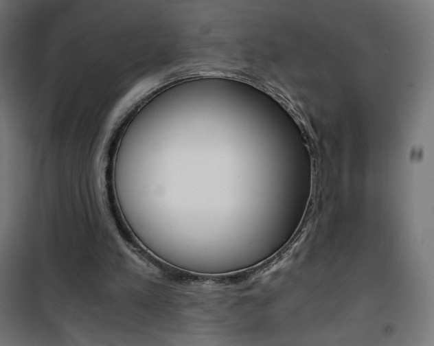 X0000101390197200807071013