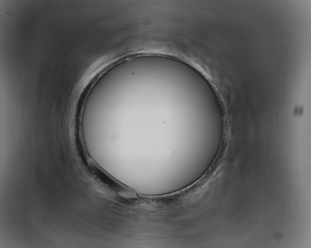 X0000101390199200807071013